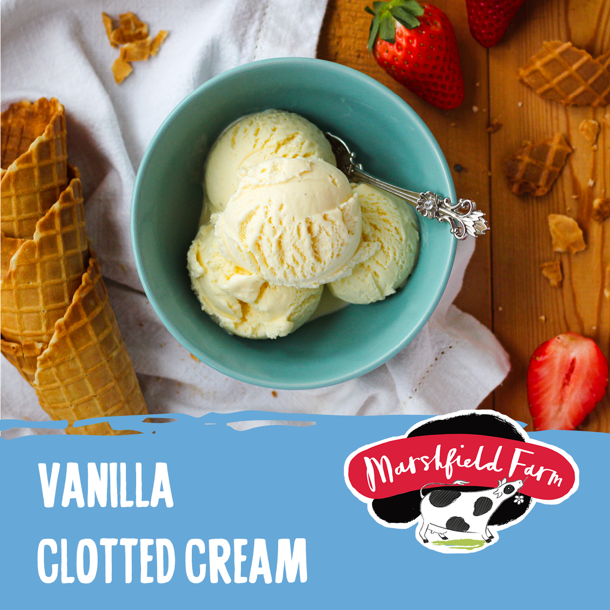 Ice Cream Marshfield VanillaClottedCream