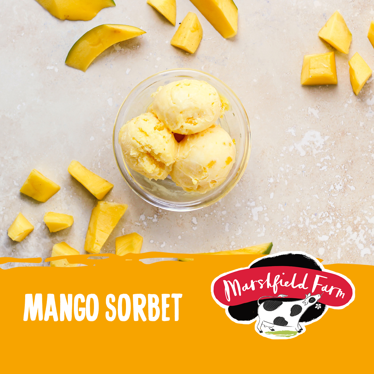 Ice Cream Marshfield Mango Sorbet