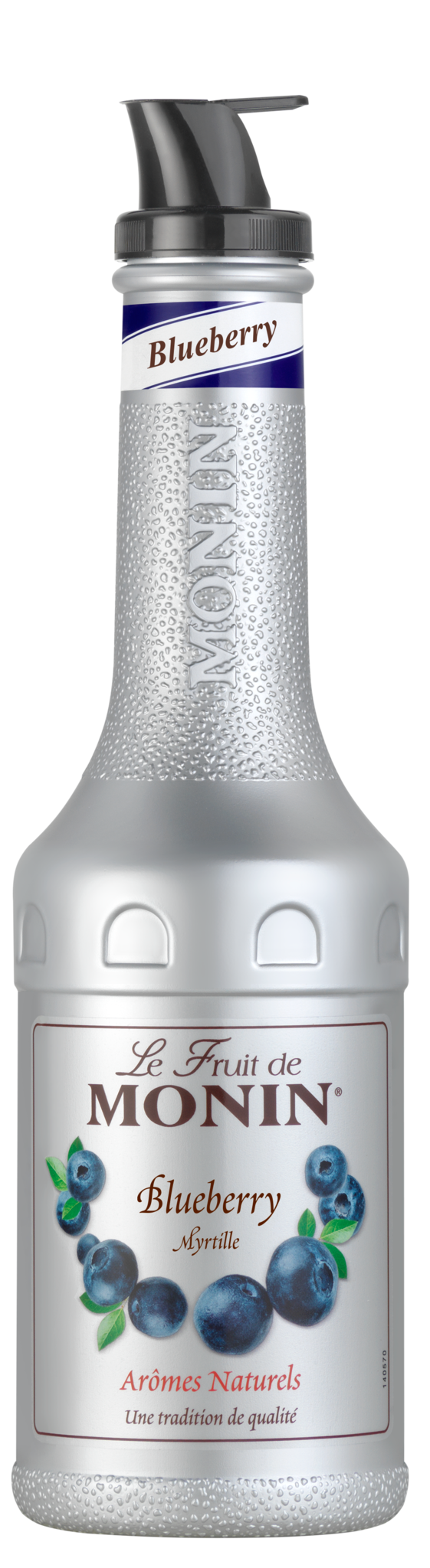Puree Blueberry Monin