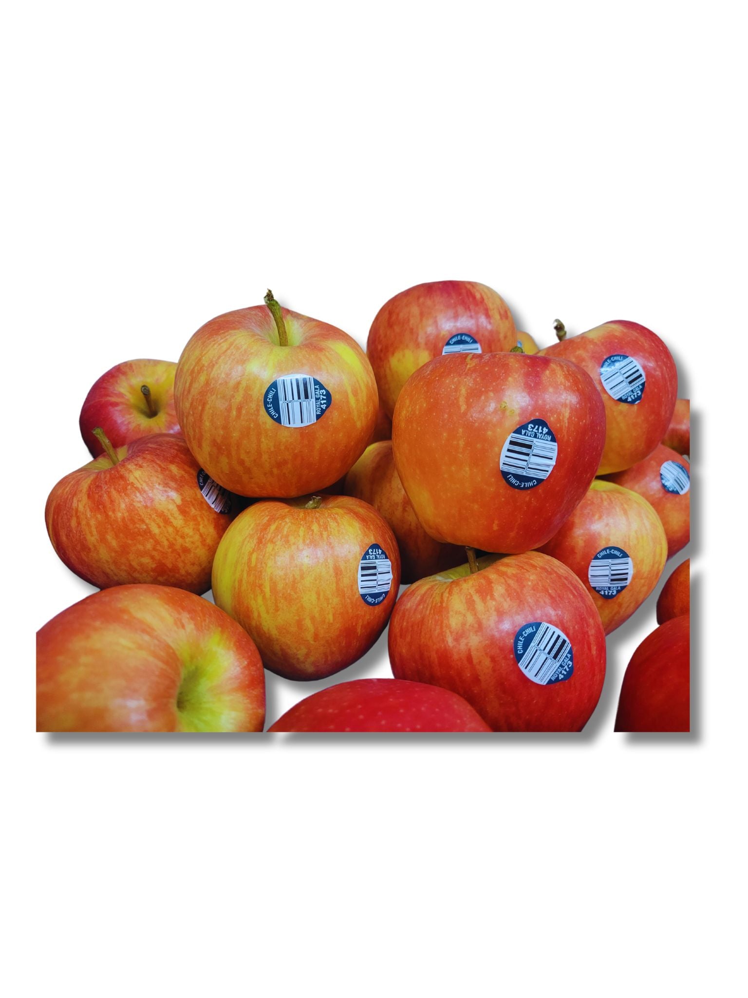 Gala Apple