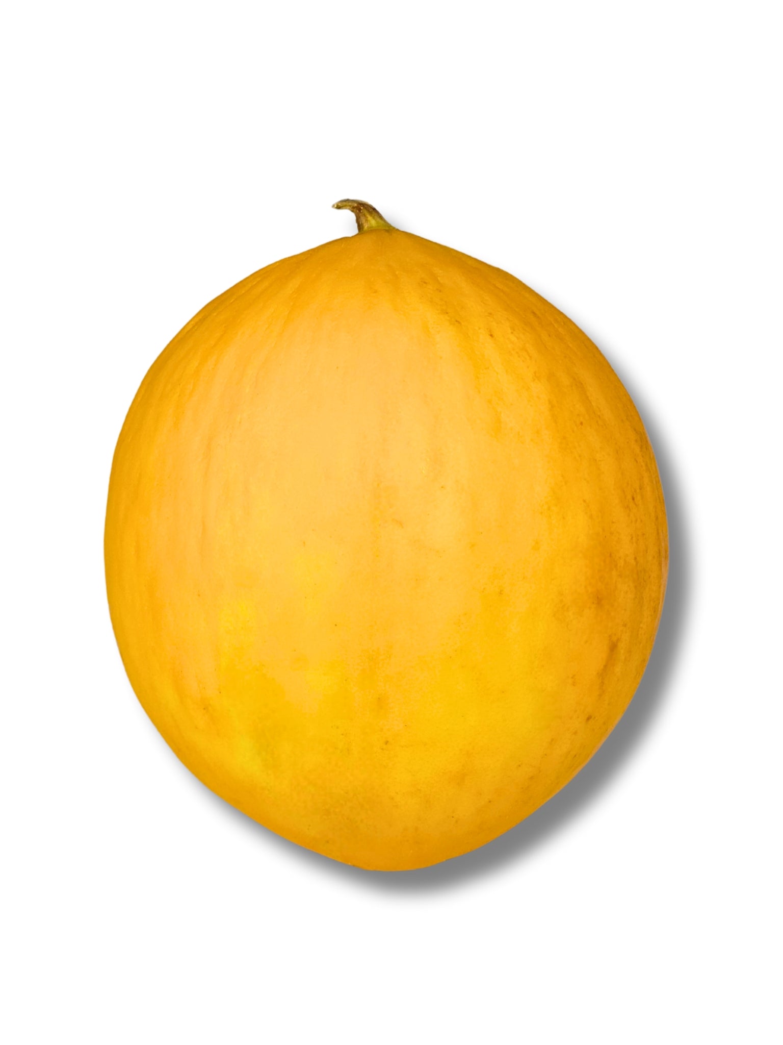 Honey Dew Melon