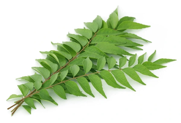 Fresh Curry Leaves
