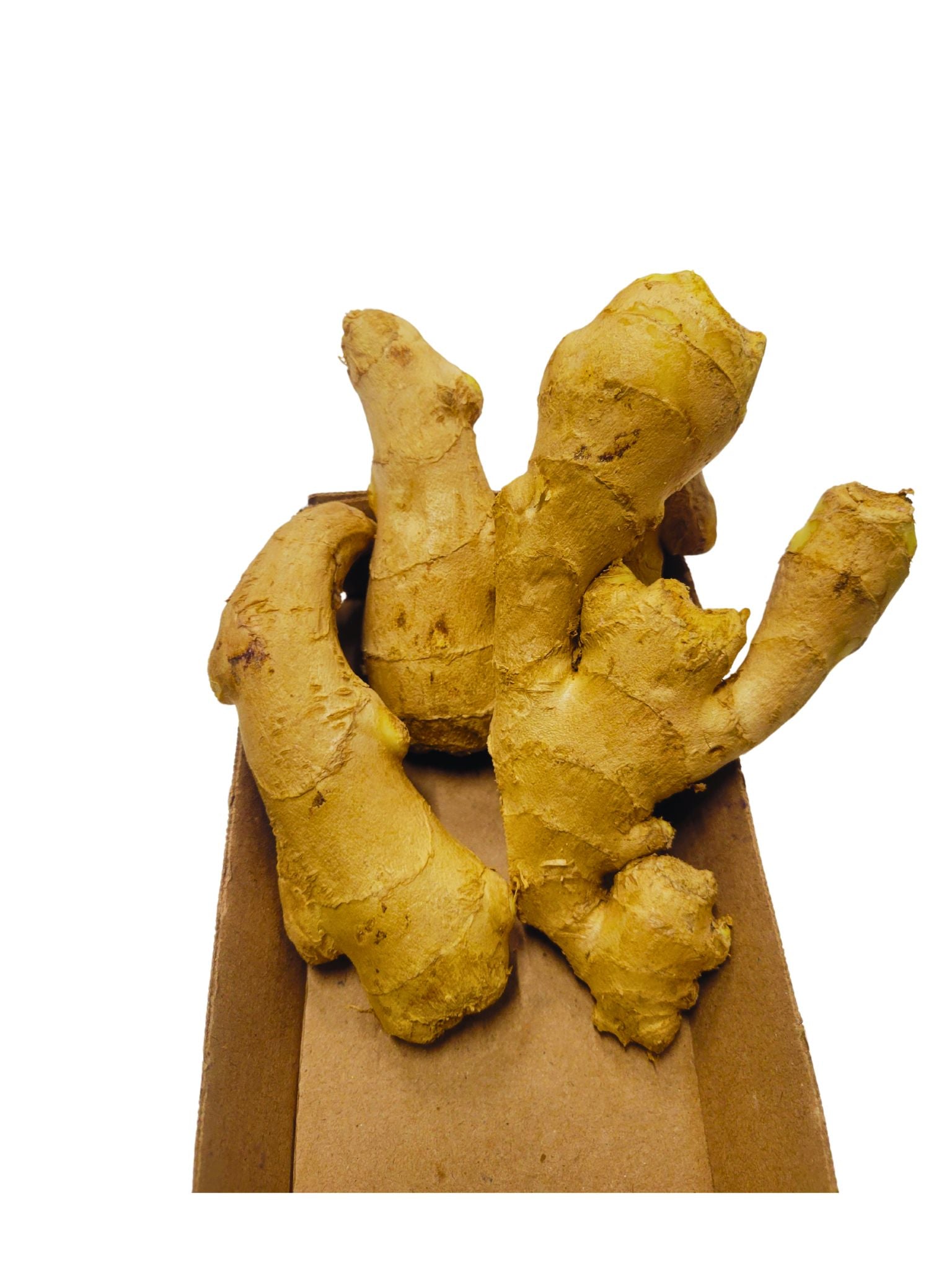 Ginger