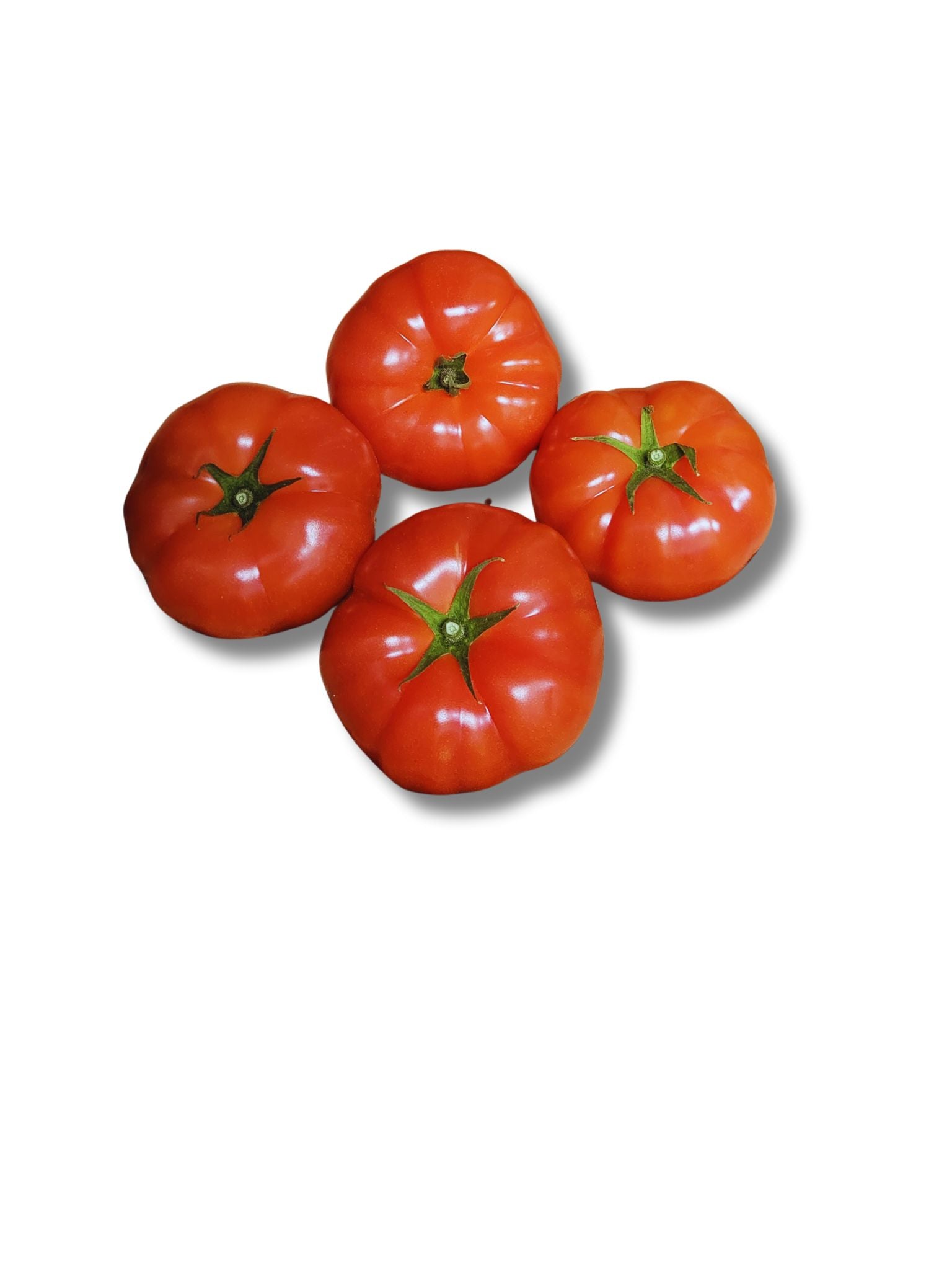 Beef Tomato