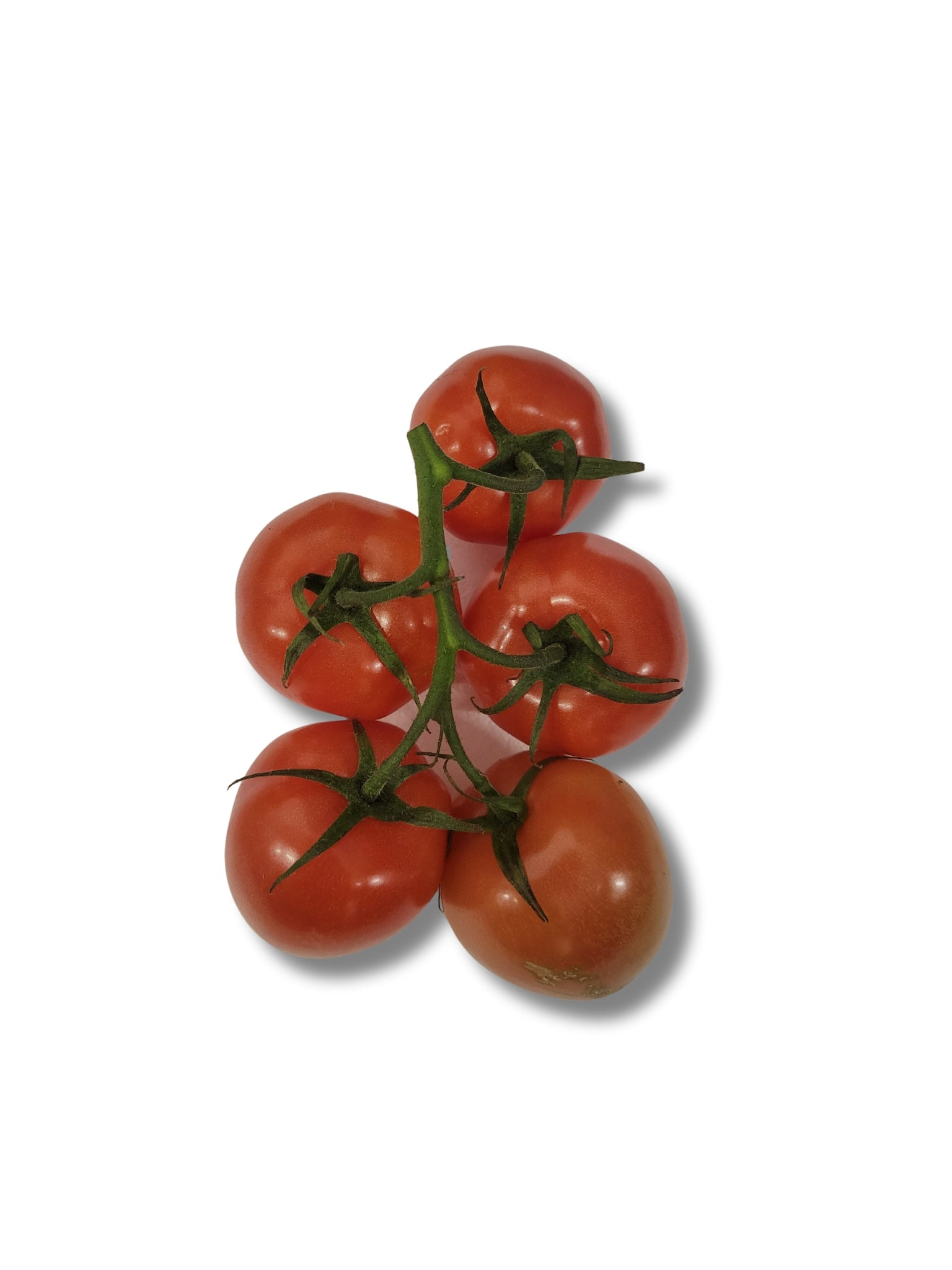 Vine Tomato