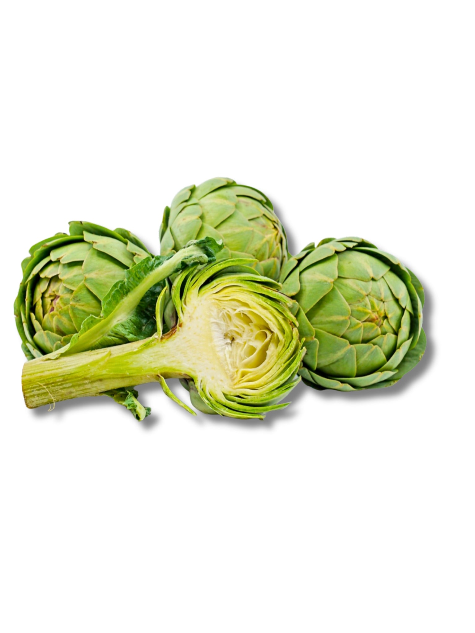 Artichoke Globe