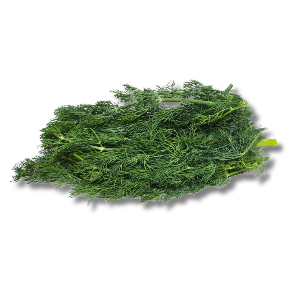 Fresh Dill