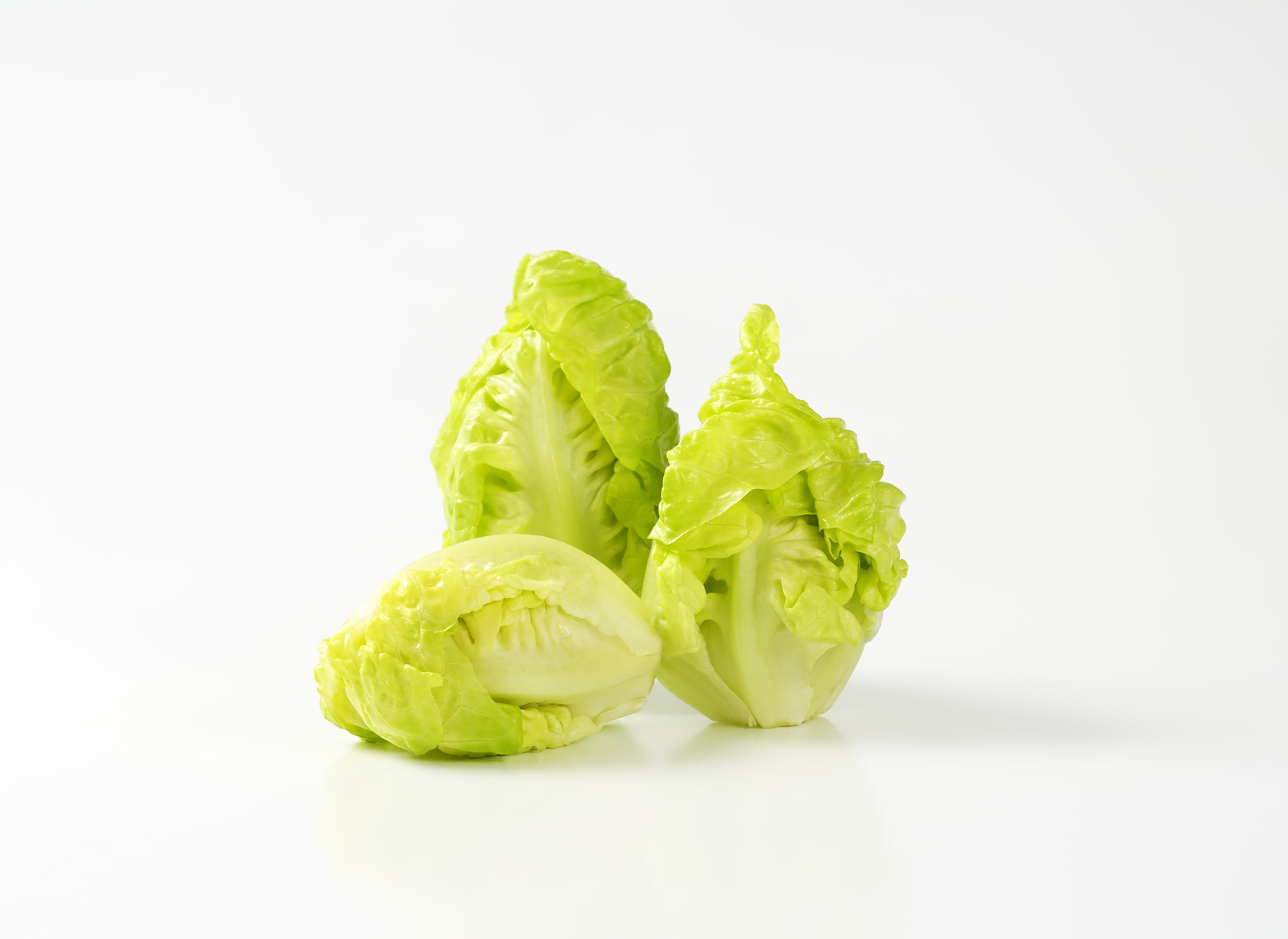 Little Gems Lettuce